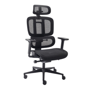 Cadeira Ergonômica Elements Sophy