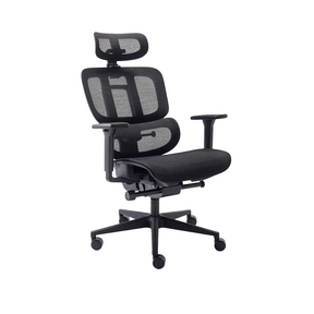 Cadeira Ergonômica Elements Sophy