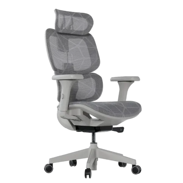 Cadeira Ergonômica Elements Siggy