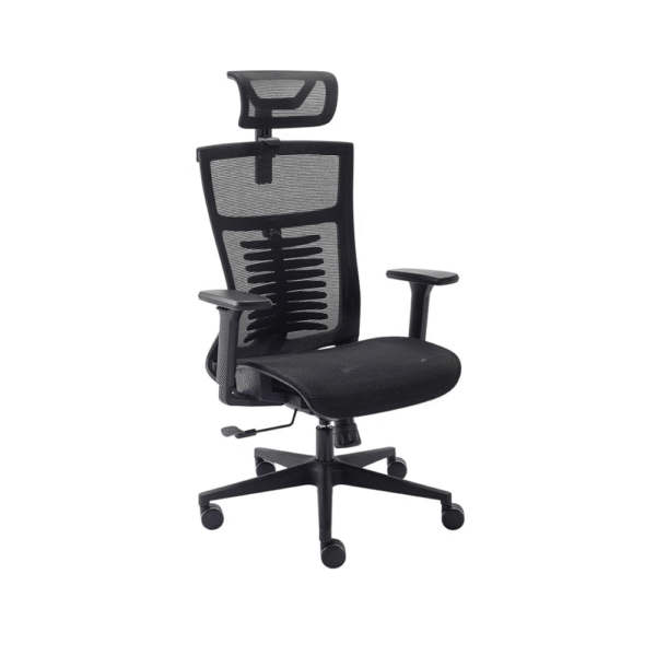Cadeira Ergonômica Elements Vertta Pro Black