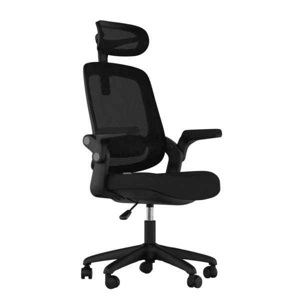 Cadeira Ergonômica Elements Astra